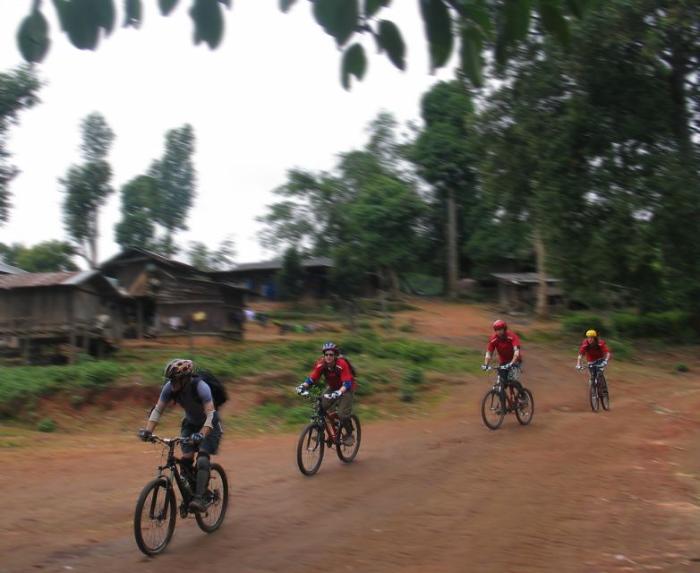 Chiang Mai: Doi Suthep National Park Leisure Hiking & Biking - Why the guide can make or break the day