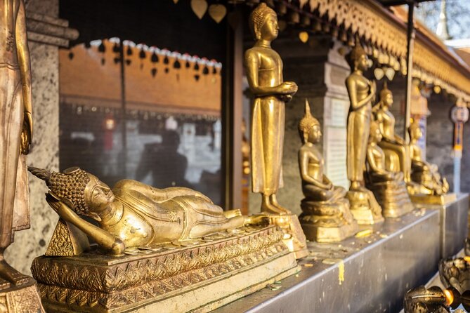 Chiang Mai - Doi Suthep Temple & Wat Pha Lat Hike - Who should book this temple hike
