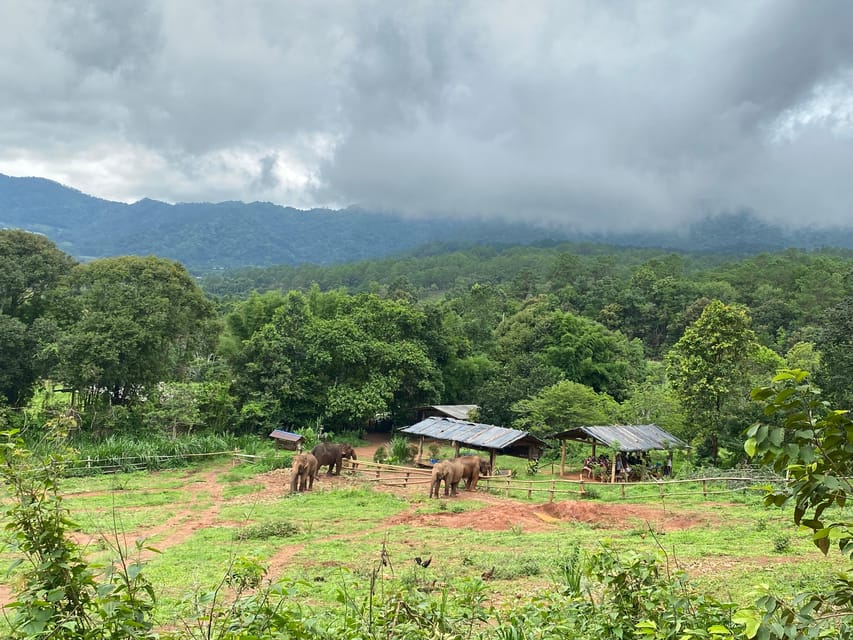 Chiang Mai: Elephant Dream Project Sanctuary - Half-Day - Key points at a glance