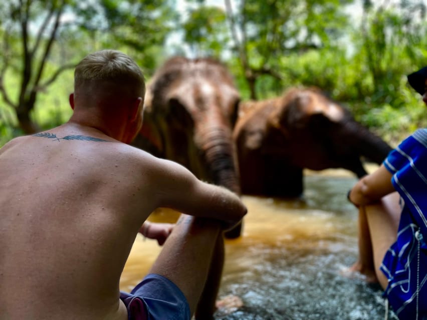 Chiang Mai: Elephant Dream Project Sanctuary - Half-Day - Why the Elephant Dream Project feels different