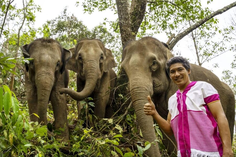 Chiang Mai: Elephant Dream Project Sanctuary - Half-Day - Is $51 a good value?