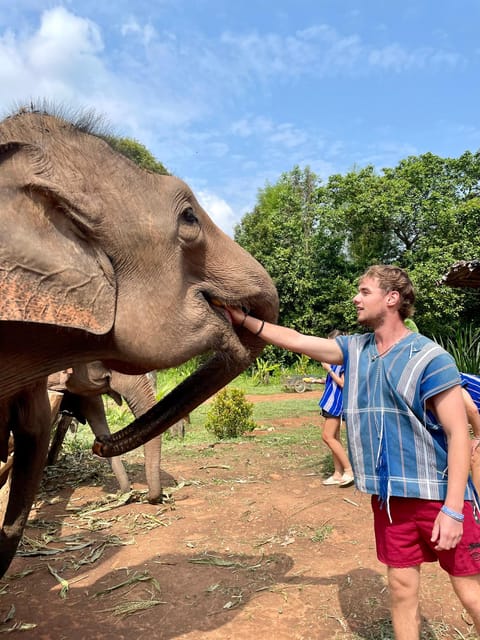 Chiang Mai: Elephant Dream Project Sanctuary - Half-Day - The early pickup and mountain road