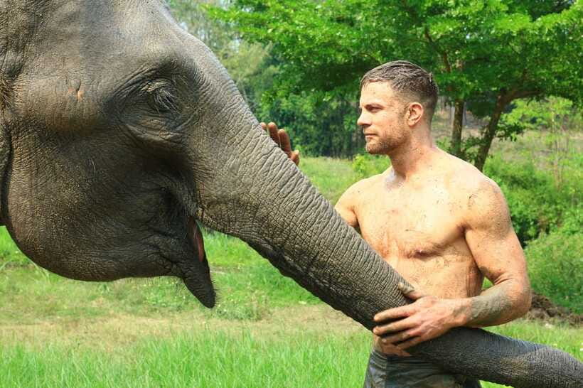 Chiang Mai: Elephant Feeding Experience - What the guide adds to the hour