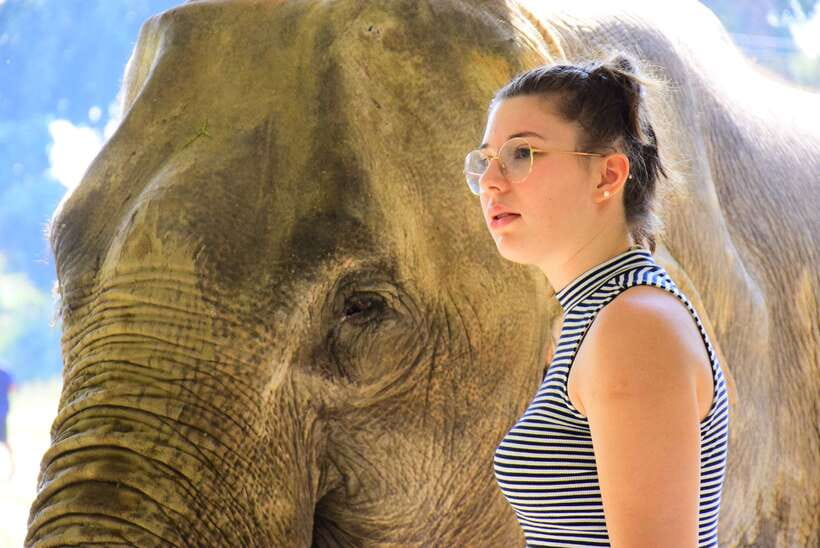 Chiang Mai: Elephant Feeding Experience - Preparing food before the animals arrive