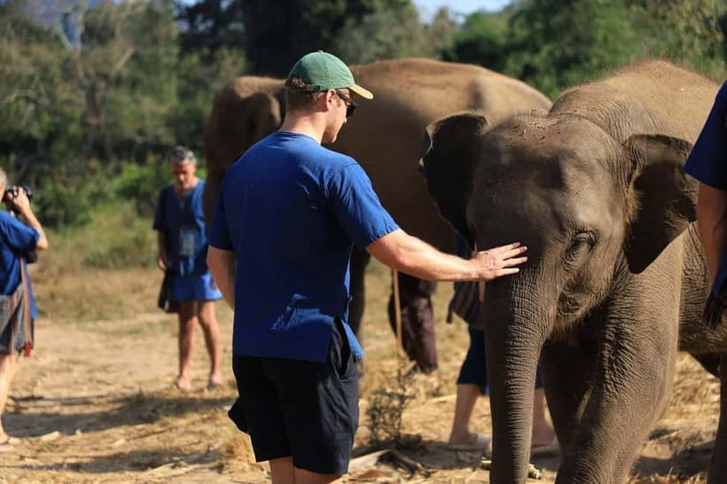 Chiang Mai: Elephant Sanctuary Bamboo Raft & Padthai Cooking - Why this day works so well