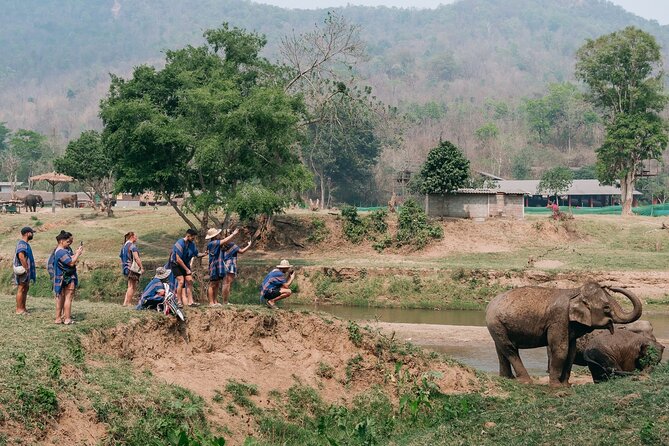 Chiang Mai Elephant Sanctuary, Bamboo Rafting and Waterfall Tour - Who should book this experience