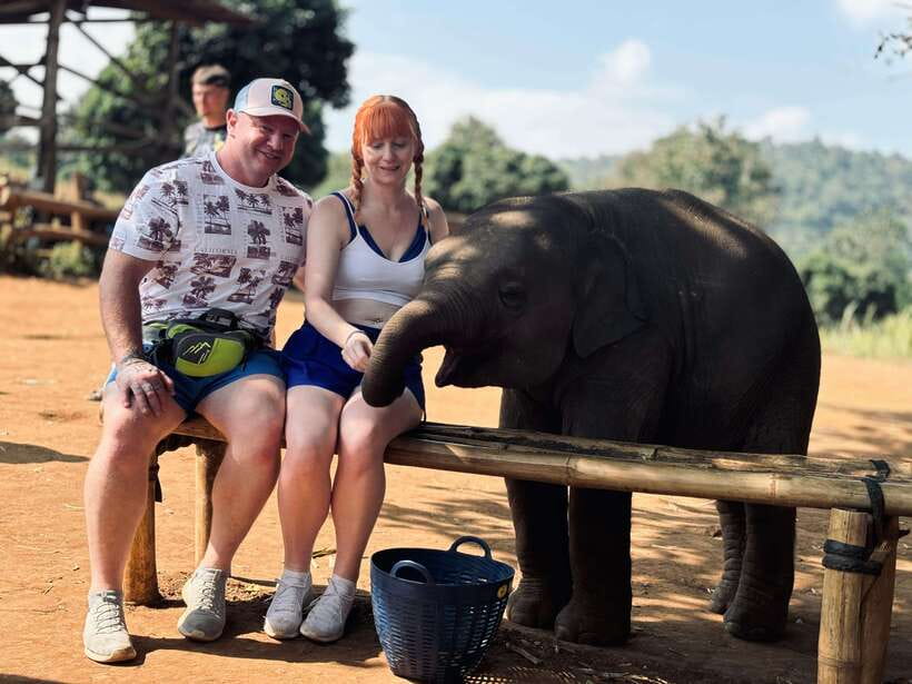Chiang Mai: Elephant Sanctuary Feeding Program Half-Day Tour - From Chiang Mai to Pon Elephant Thailand