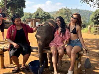 Elephant Sanctuary Feeding Program Half-Day Tour