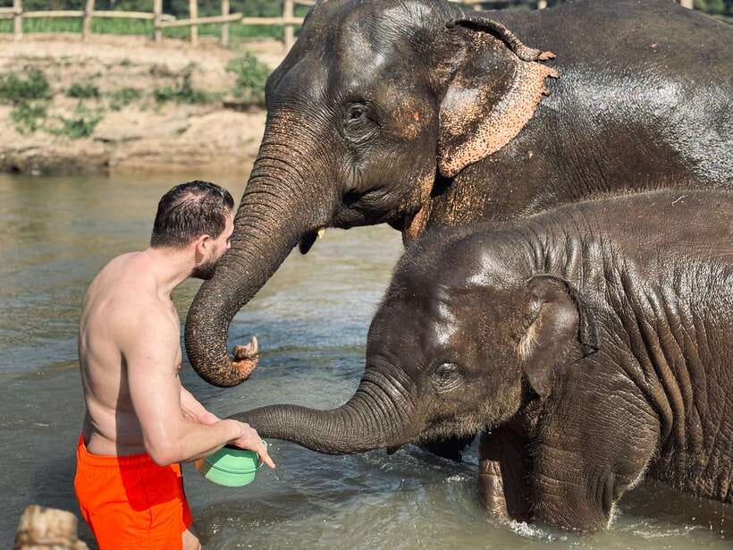 Chiang Mai: Elephant Sanctuary Feeding Program Half-Day Tour - The river, bathing, and the chance of getting soaked