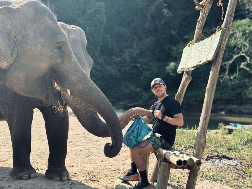 Chiang Mai: Elephant Sanctuary Feeding Program Half-Day Tour - How ethical is the interaction?