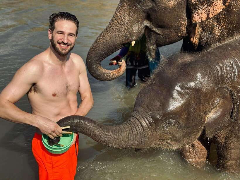 Chiang Mai: Elephant Sanctuary Feeding Program Half-Day Tour - What the $27 price really buys you