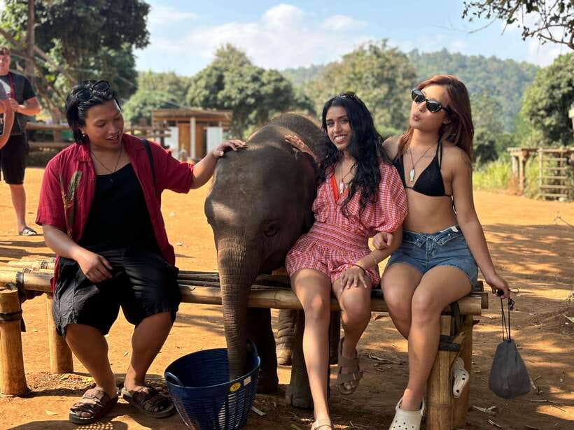 Chiang Mai: Elephant Sanctuary Feeding Program Half-Day Tour - The first briefing: elephants as individuals