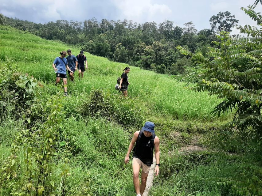 Chiang Mai: Elephant Sanctuary & Jungle Trek w/ Waterfall - Why this Mae Wang day works so well