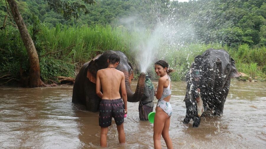 Chiang Mai: Elephant Sanctuary & Jungle Trek w/ Waterfall - Meeting the elephants at the care sanctuary
