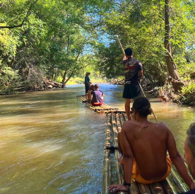 Chiang Mai: Elephant Sanctuary & Jungle Trek w/ Waterfall - Lunch in a Shan village