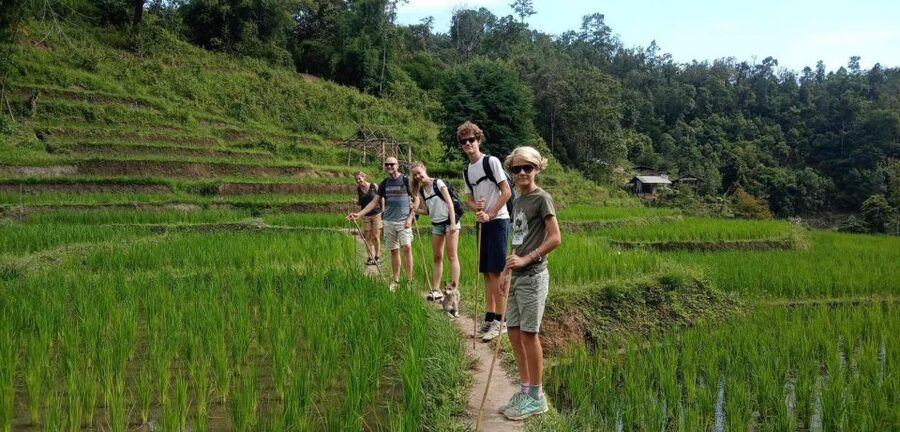 Chiang Mai: Elephant Sanctuary & Jungle Trek w/ Waterfall - How much activity should you expect?