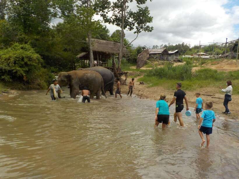 Chiang Mai: Elephant Sanctuary Local Hill Tribe Caretakers - What to pack for the river and forest