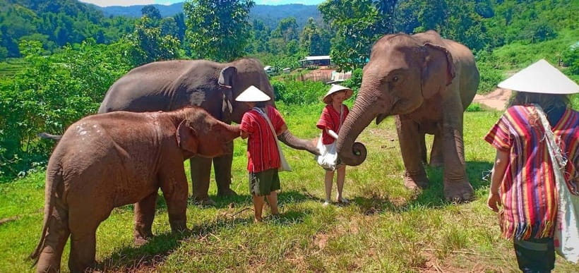 Chiang Mai: Elephant Sanctuary Local Hill Tribe Caretakers - Mud, river water, and a cooler side of elephant care
