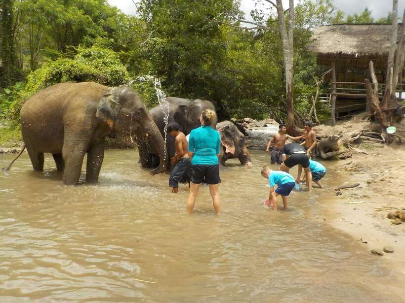 Chiang Mai: Elephant Sanctuary Local Hill Tribe Caretakers - A one-hour hike to Mae Wang Waterfall