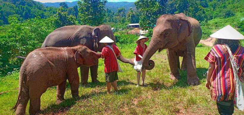 Chiang Mai: Elephant Sanctuary Local Hill Tribe Caretakers - Meeting Karen and Hmong communities