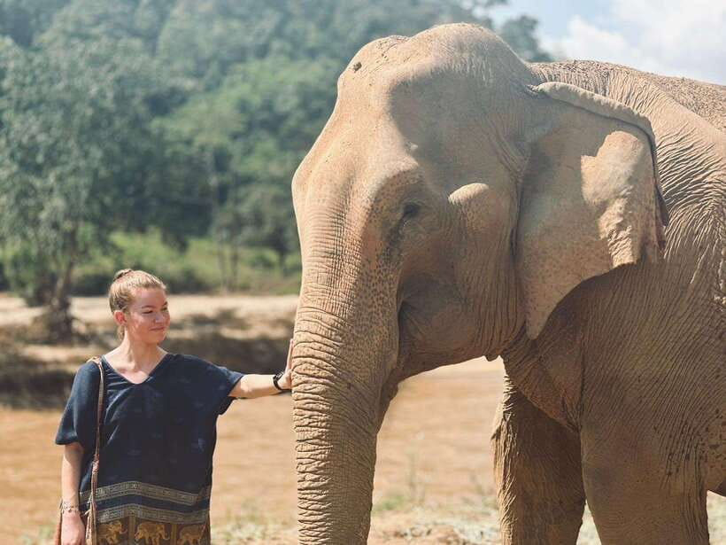 Chiang Mai: Elephant Sanctuary, Long Neck & Sticky Waterfall - Why This Chiang Mai Combination Works