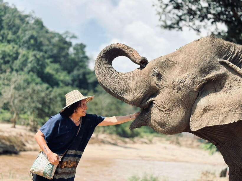 Chiang Mai: Elephant Sanctuary, Long Neck & Sticky Waterfall - Feeding, Forest Walking, and River Bathing