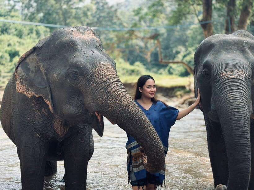 Chiang Mai: Elephant Sanctuary, Long Neck & Sticky Waterfall - Meeting the Elephants at the Sanctuary