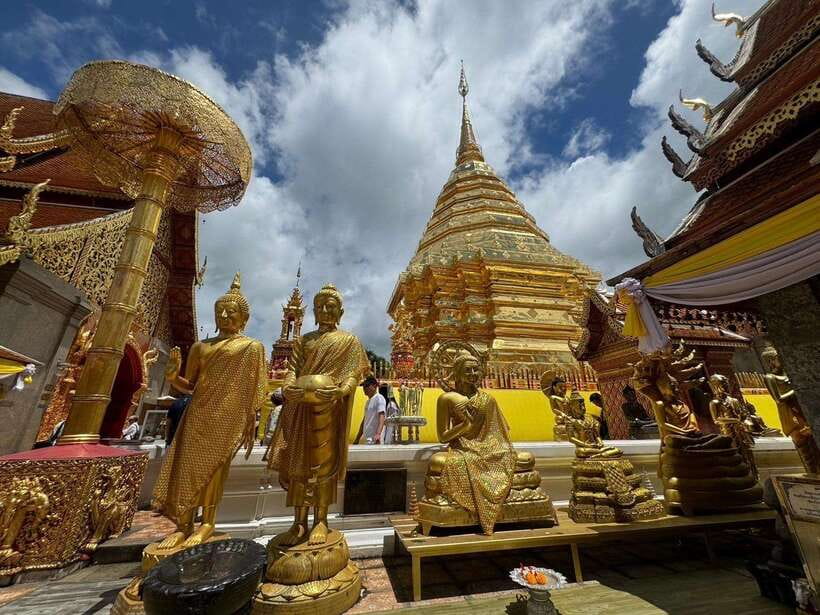 Chiang Mai: Elephant Sanctuary, Monk Trail & Doi Suthep Tour - A forest start at Wat Pha Lat