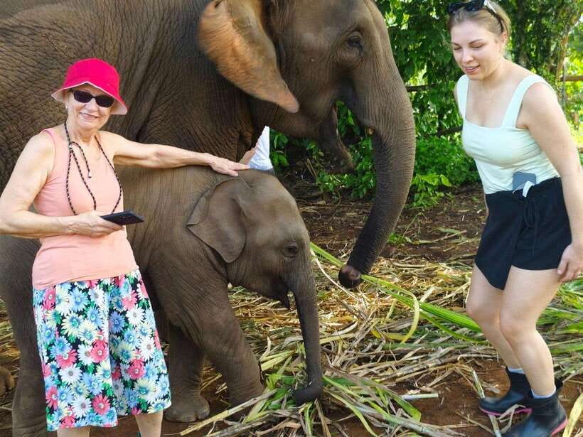 Chiang Mai: Elephant Sanctuary, Monk Trail & Doi Suthep Tour - Three and a half hours with elephants at Pon Elephant Thailand