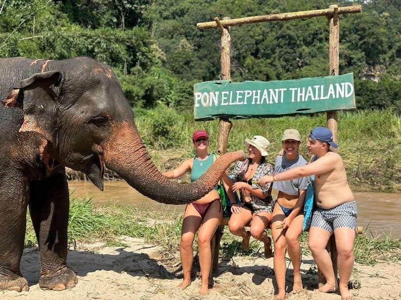 Chiang Mai: Elephant Sanctuary, Waterfall & Bamboo Rafting - A nine-hour escape from Chiang Mai