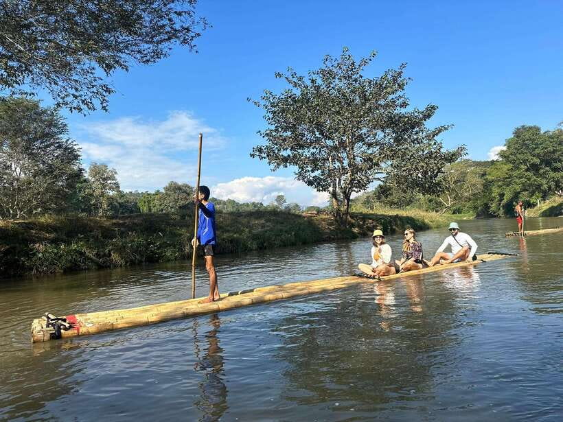 Chiang Mai: Elephant Sanctuary, Waterfall & Bamboo Rafting - Walking through the forest with the elephants