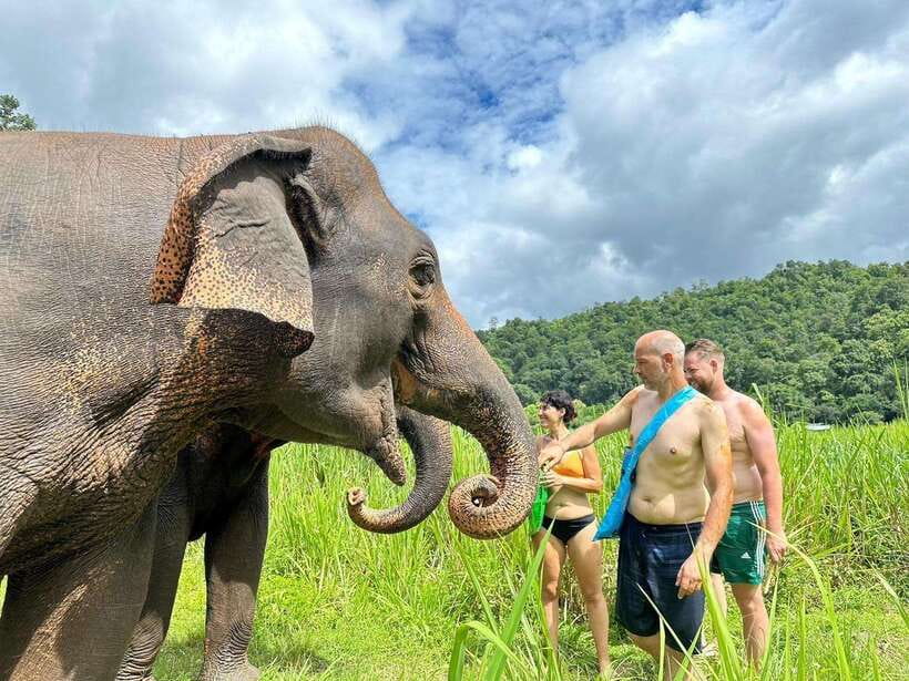 Chiang Mai: Elephant Sanctuary, Waterfall & Bamboo Rafting - What the $60 price really buys