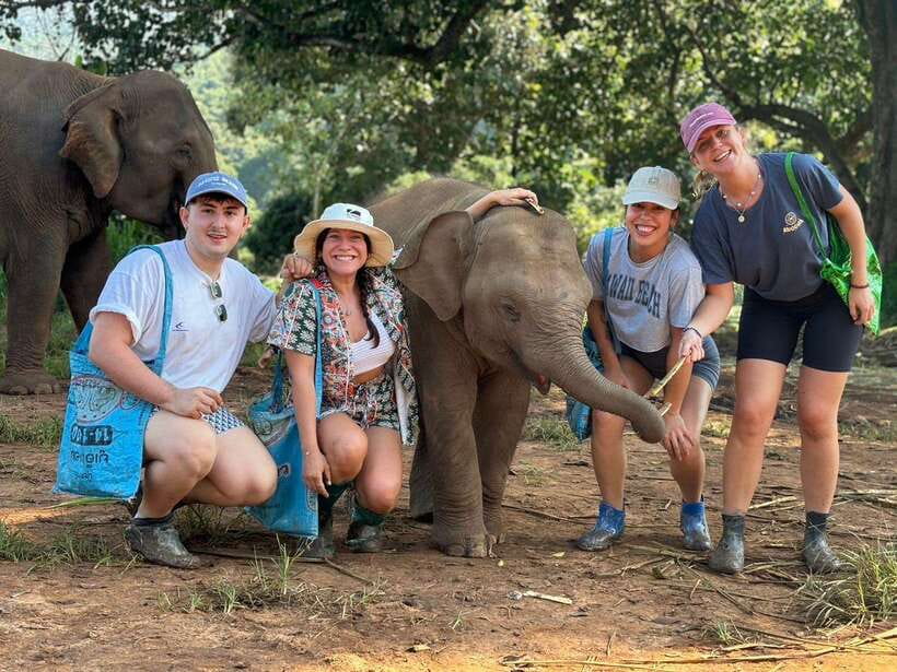 Chiang Mai: Elephant Sanctuary, Waterfall & Bamboo Rafting - Mae Wang Waterfalls: start with cold water