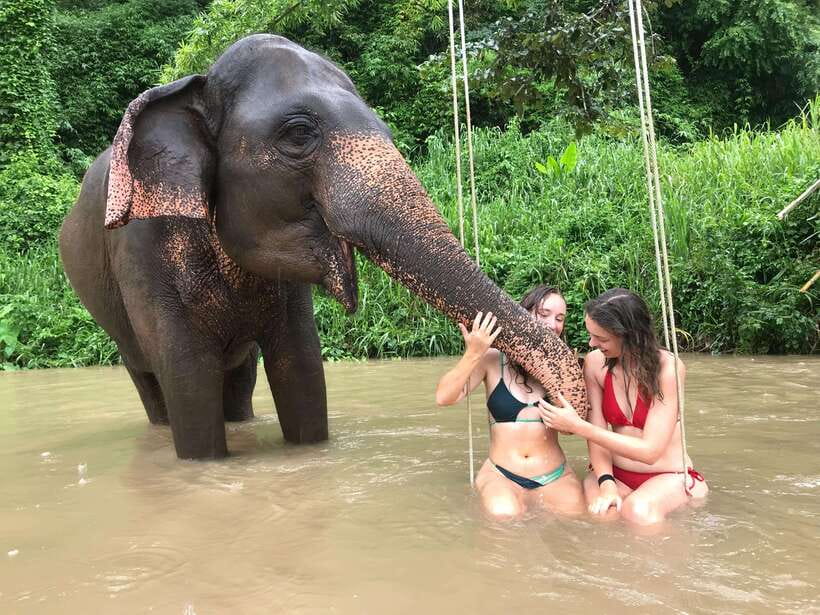 Chiang Mai: Elephant Sanctuary & Waterfall Group Tour - Key points to know before you book