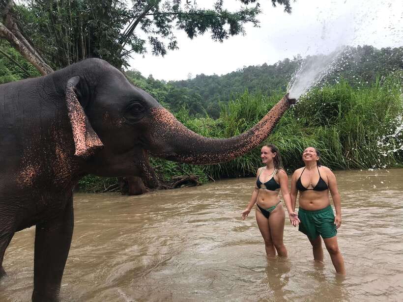 Chiang Mai: Elephant Sanctuary & Waterfall Group Tour - Elephant welfare and your role