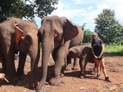 Elephant Sanctuary & Waterfall Group Tour