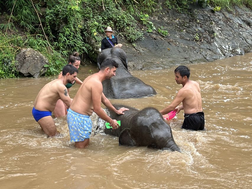 Chiang Mai: Elephant Sanctuary & Waterfall Group Tour - Lunch, fruit, and a useful pause