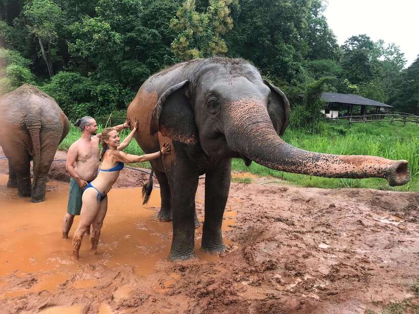 Chiang Mai: Elephant Sanctuary & Waterfall Group Tour - What $50 gets you