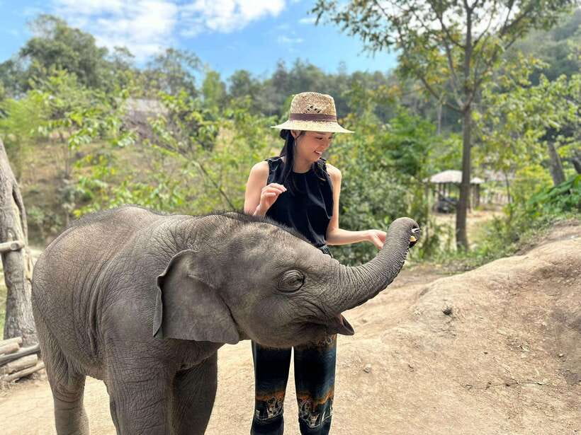 Chiang Mai: Elephant Sanctuary & Waterfall Group Tour - Who will enjoy this day most