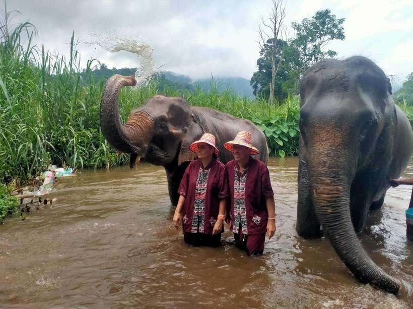 Chiang Mai: Elephants, Sticky Waterfalls, Market and Temple - Key points to know before booking