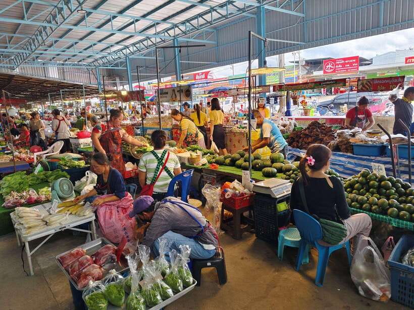 Chiang Mai: Elephants, Sticky Waterfalls, Market and Temple - A full day beyond Chiang Mai’s old city