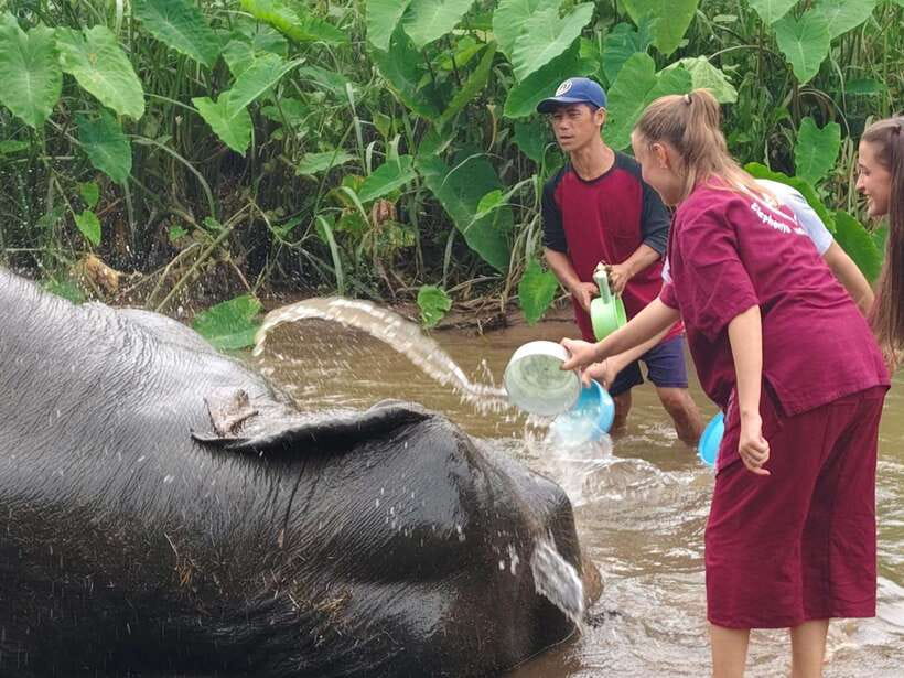 Chiang Mai: Elephants, Sticky Waterfalls, Market and Temple - Bua Thong Sticky Waterfalls and the Spider-Man climb