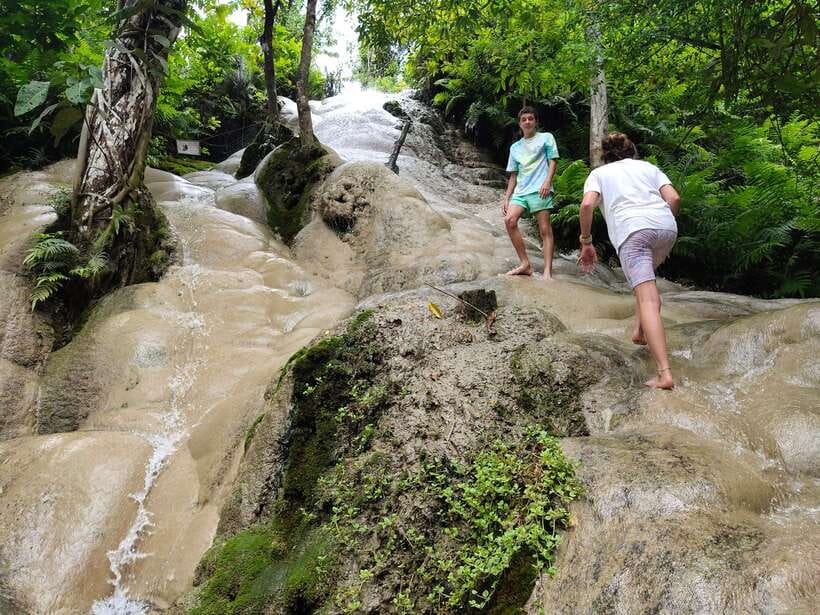 Chiang Mai: Elephants, Sticky Waterfalls, Market and Temple - Meeting the elephants through food and daily care