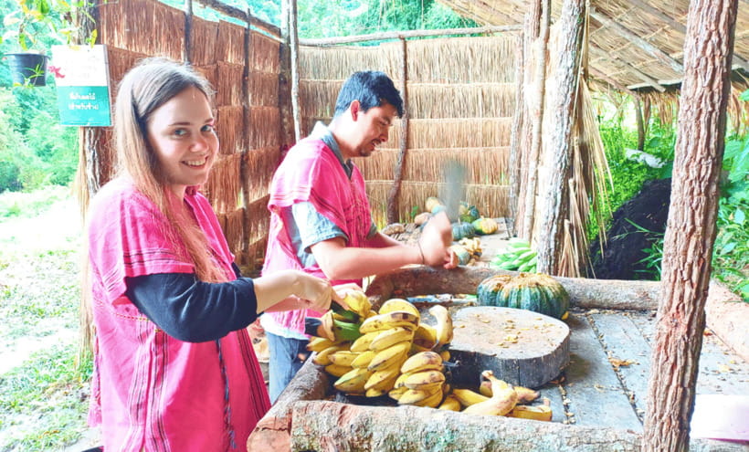 Chiang Mai: Ethical Half Day Elephant Sanctuary & Waterfall - Key points at a glance