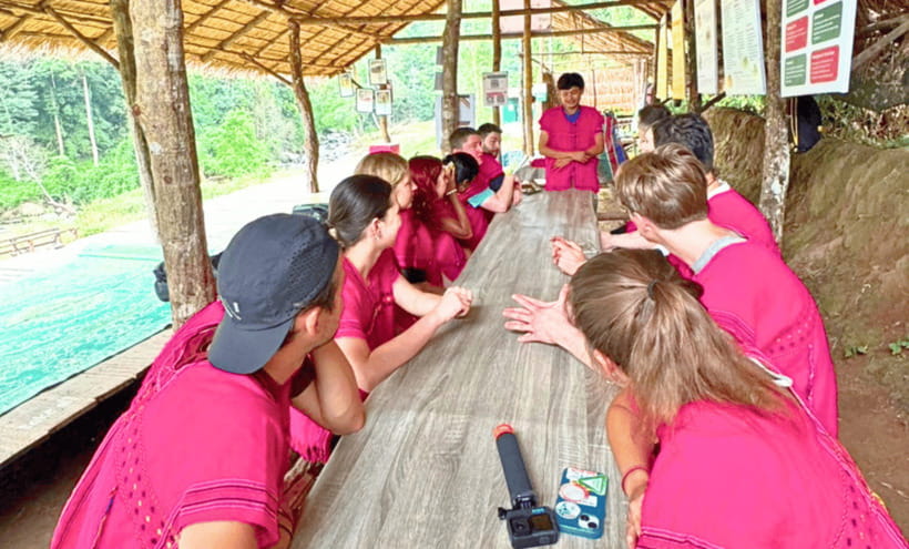 Chiang Mai: Ethical Half Day Elephant Sanctuary & Waterfall - Why the elephant ethics matter here