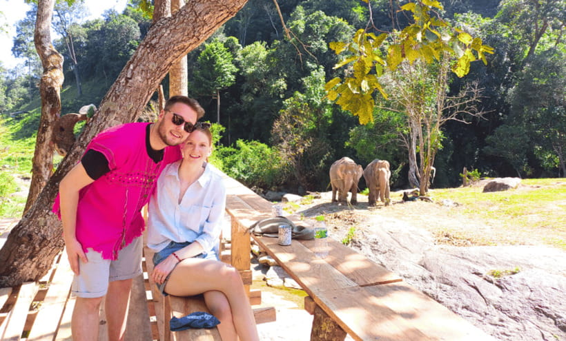 Chiang Mai: Ethical Half Day Elephant Sanctuary & Waterfall - Pad Thai, fruit, and herbal tea