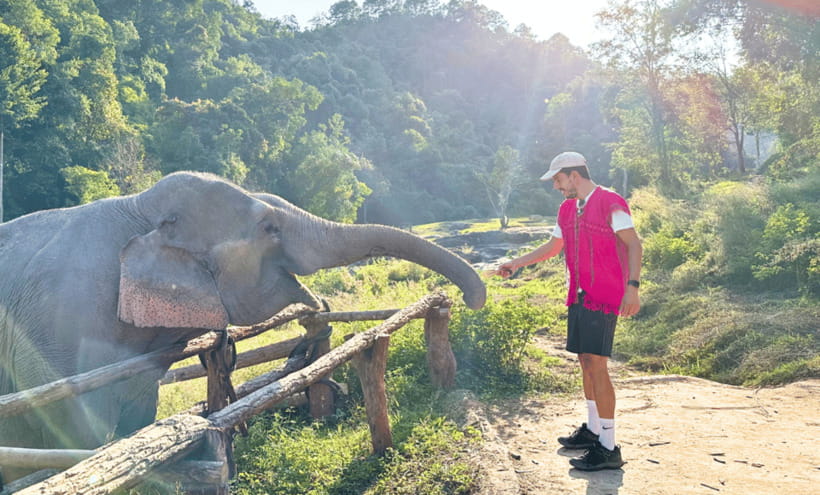 Chiang Mai: Ethical Half Day Elephant Sanctuary & Waterfall - What the $54 price covers