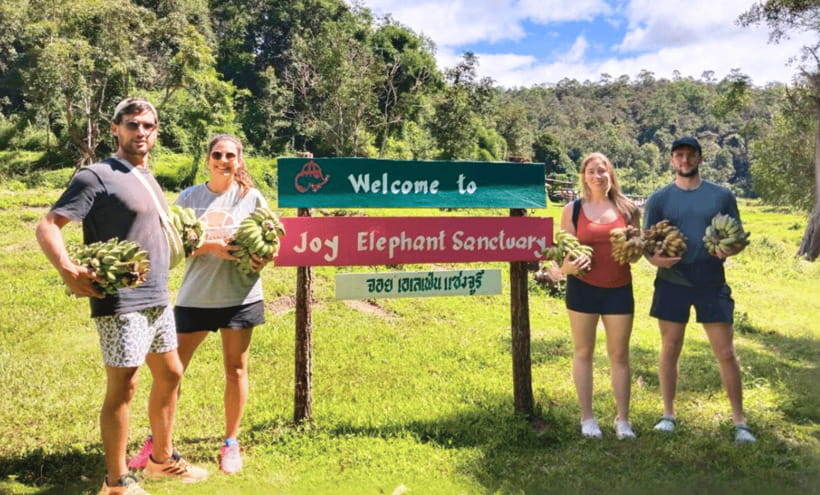 Chiang Mai: Ethical Half Day Elephant Sanctuary & Waterfall - The 1.5-hour ride from Chiang Mai