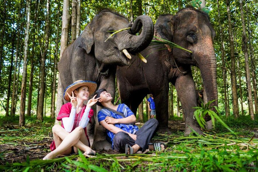 Chiang Mai: Full-Day Kerchor Elephant Eco Park Tour & Trek - Who will enjoy this day most