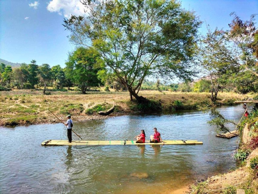 Chiang Mai: Full-Day Kerchor Elephant Eco Park Tour & Trek - Feeding, walking, and watching the elephants bathe